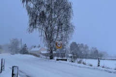 gallery-IMG_2442
